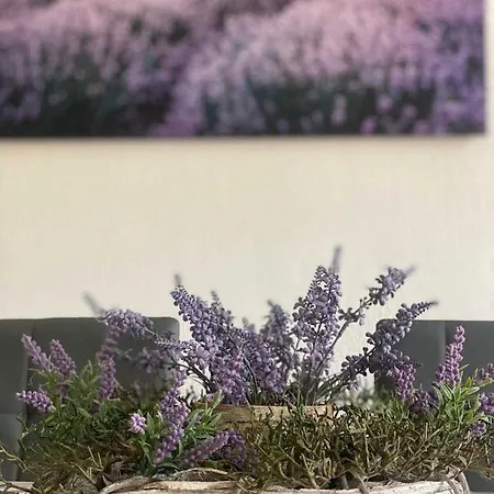 Ferienwohnung Zur Birke